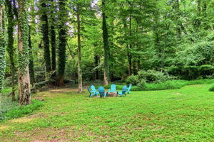  Photo 49