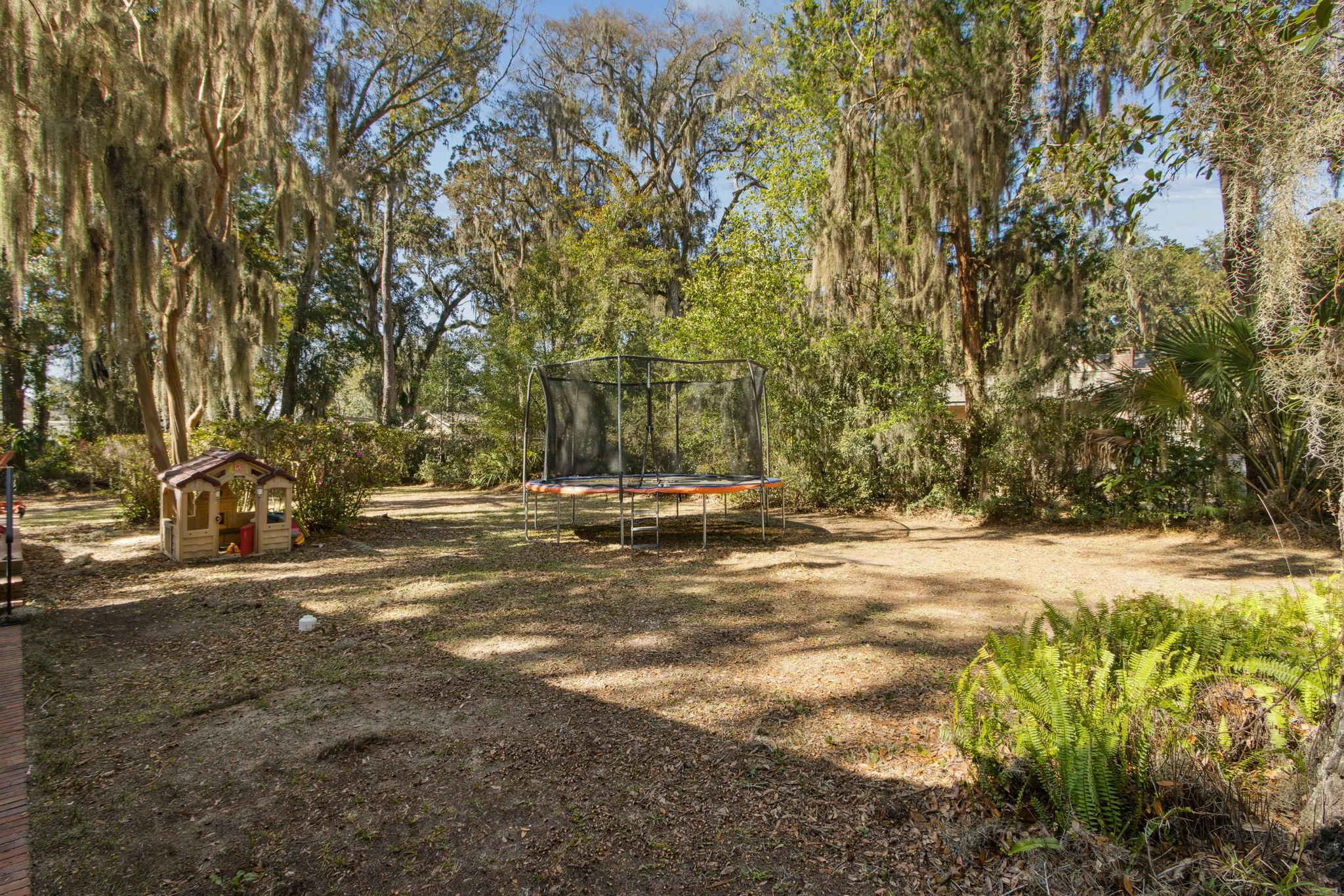 Backyard
