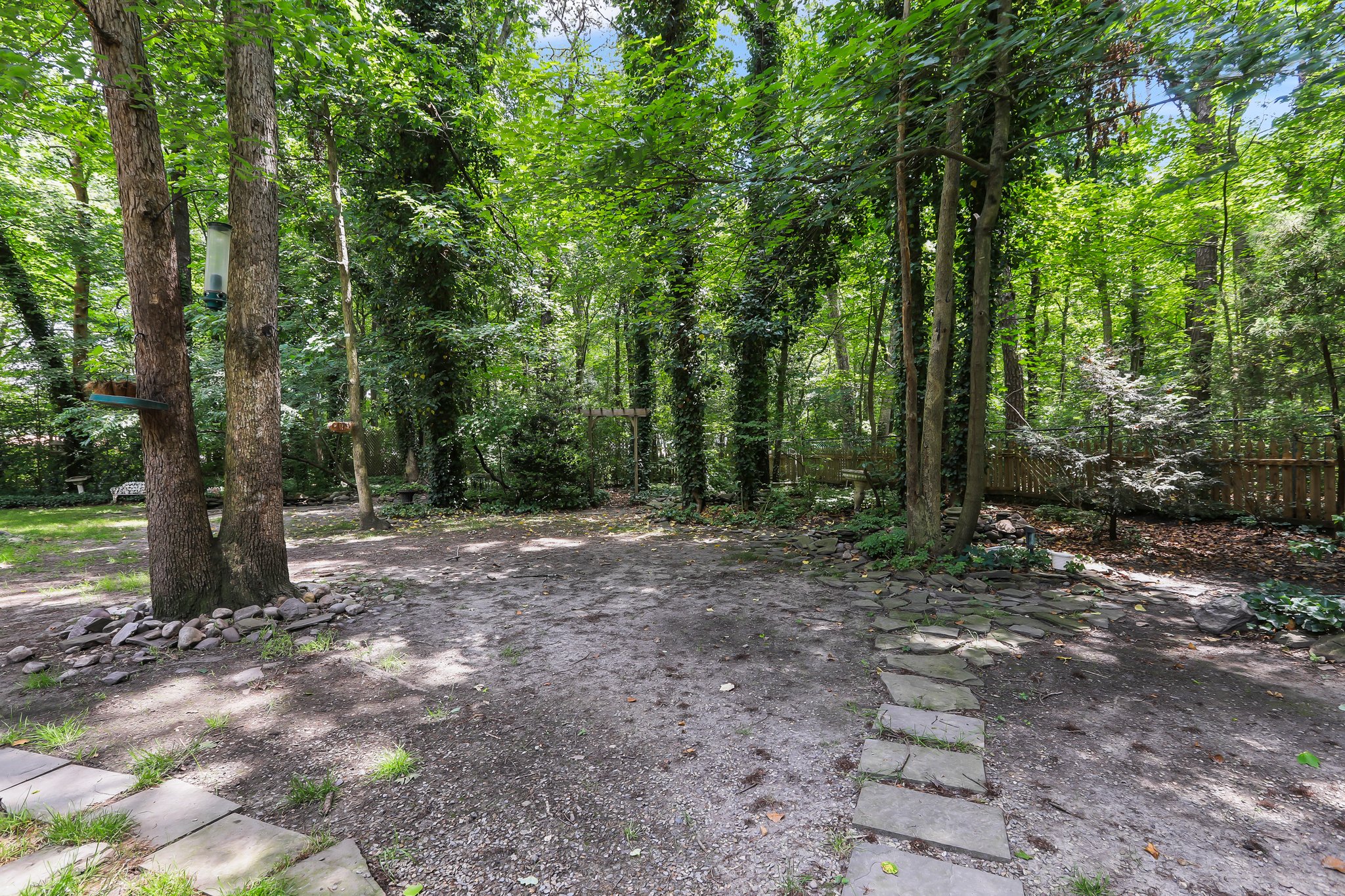 View of Path into Tree Covered Area