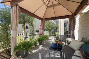 Lush Canopied Backyard Patio
