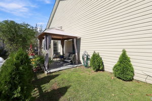 Backyard Open Space