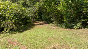 Image-36