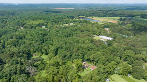 Image-49