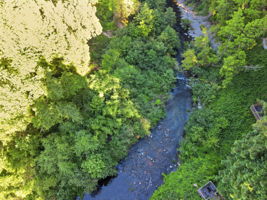 014_F8_AERIAL_111 River Ln