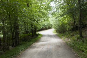  Photo 49