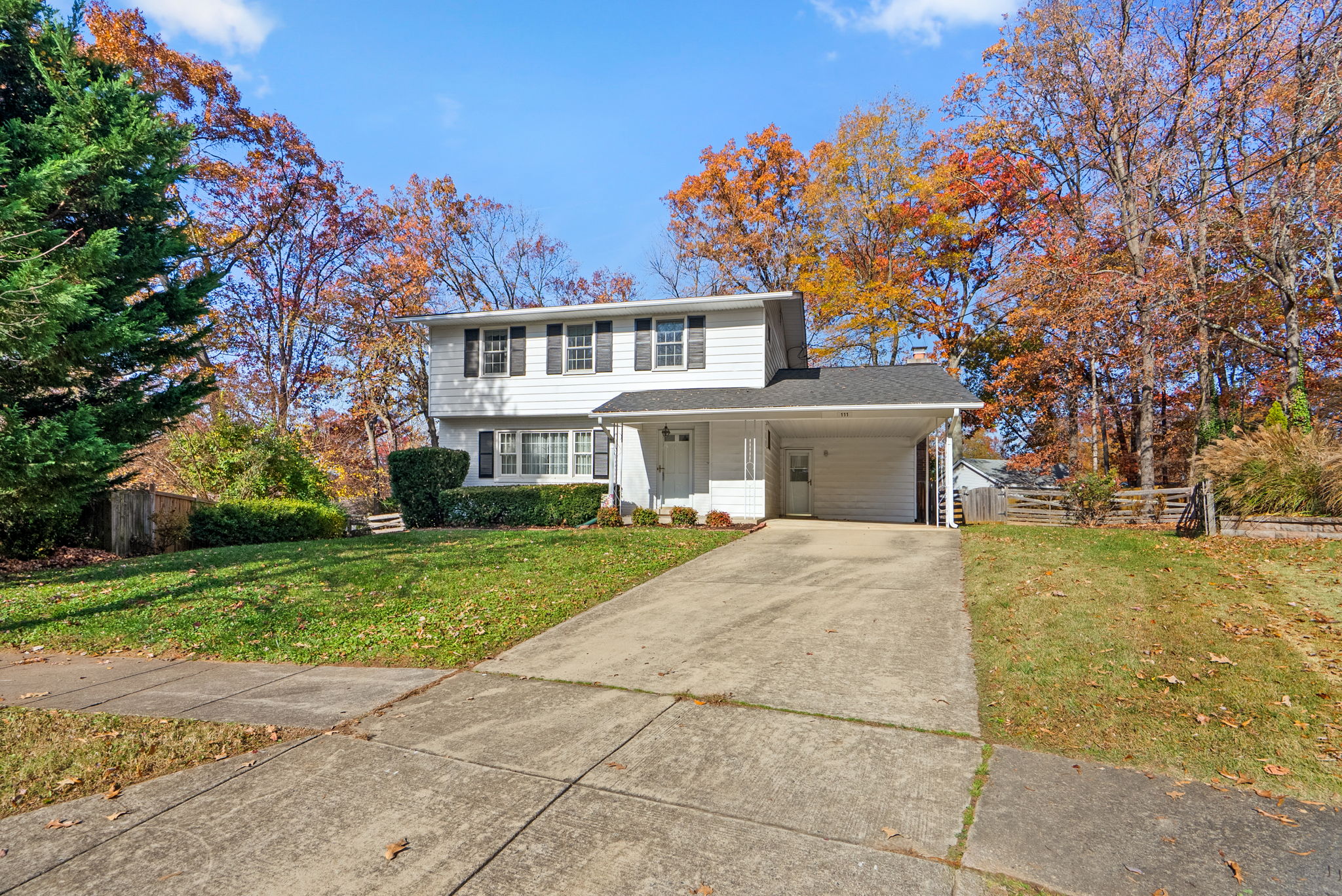 Driveway and Carport