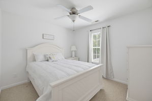 111 Tree Top_Reshoot-7
