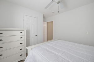 111 Tree Top_Reshoot-8