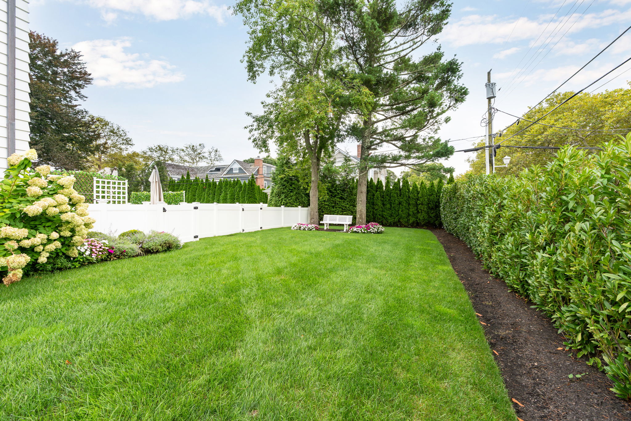  Photo 185