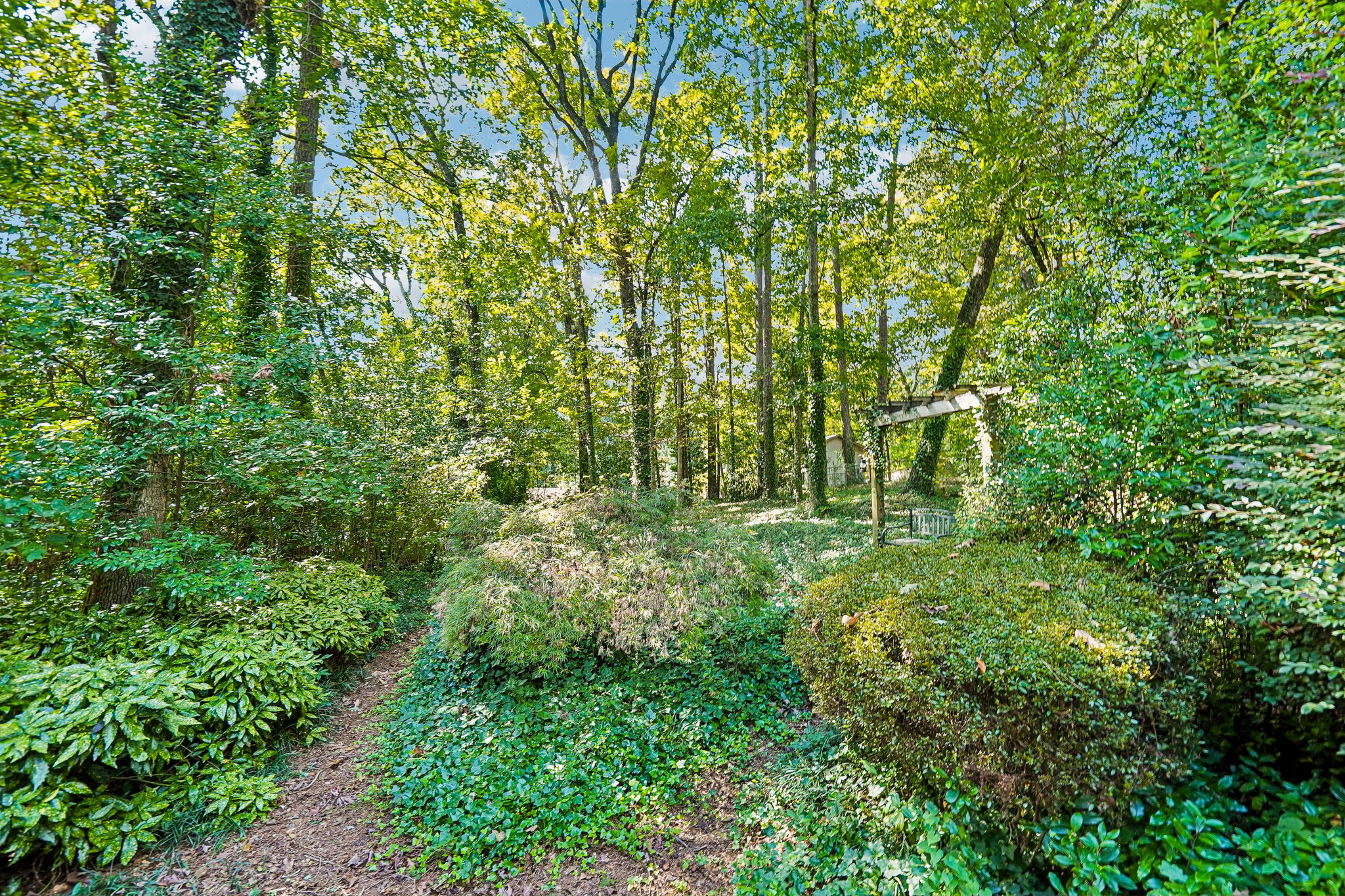 Creekdale Dr-S1710-027.jpg