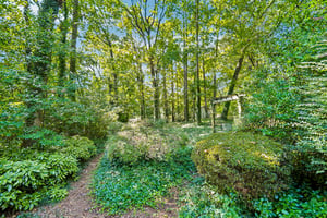 Creekdale Dr-S1710-027.jpg