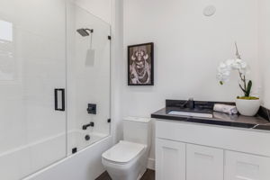 1110 Carmelinia-22