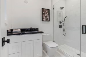 1110 Carmelinia-17