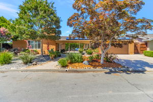 001_1111 Arnott Way  Campbell