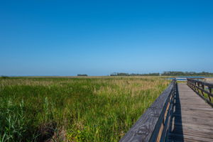Bermuda-Bay-Community-Pier-View-V2