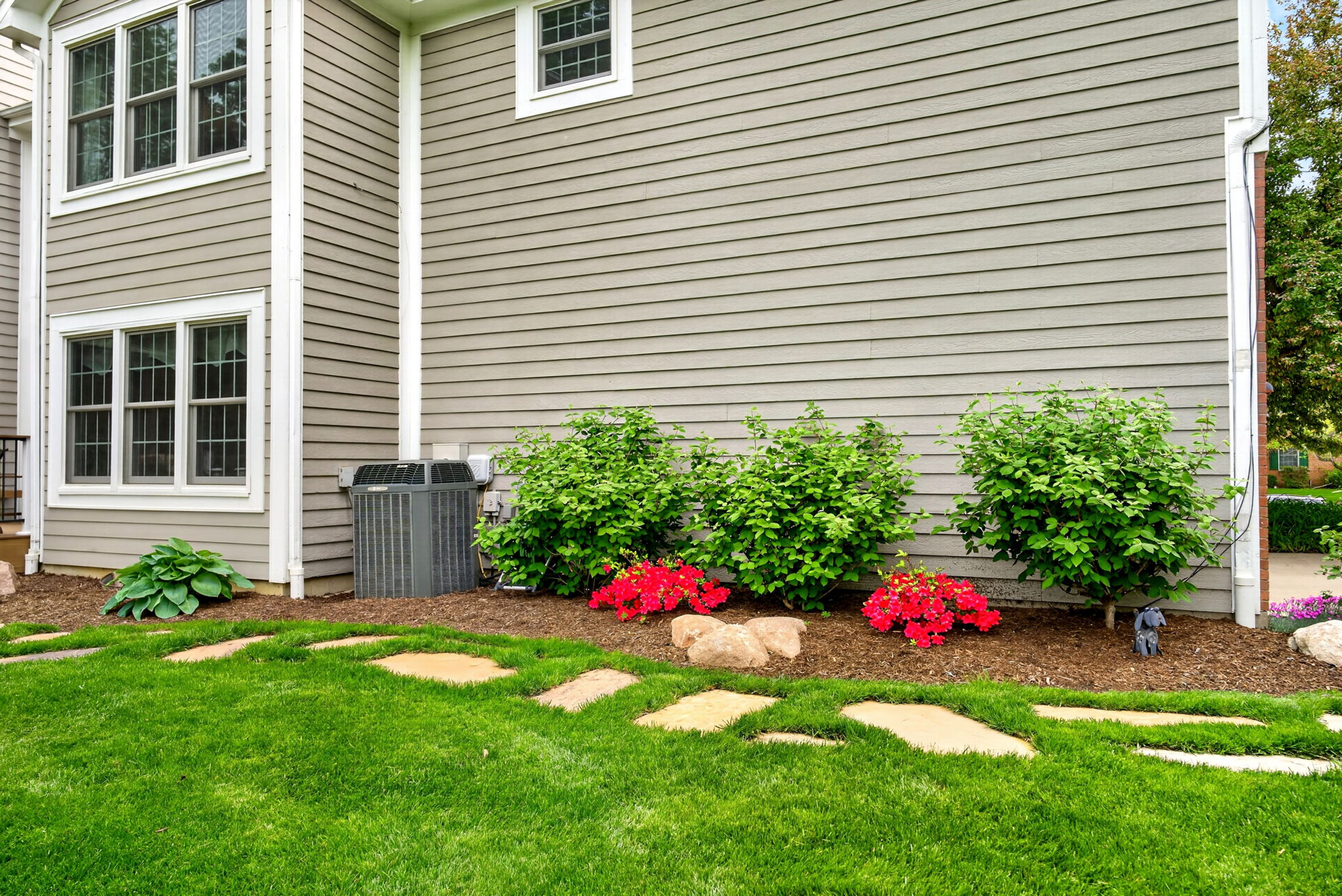 Photo 53