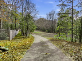  Photo 0