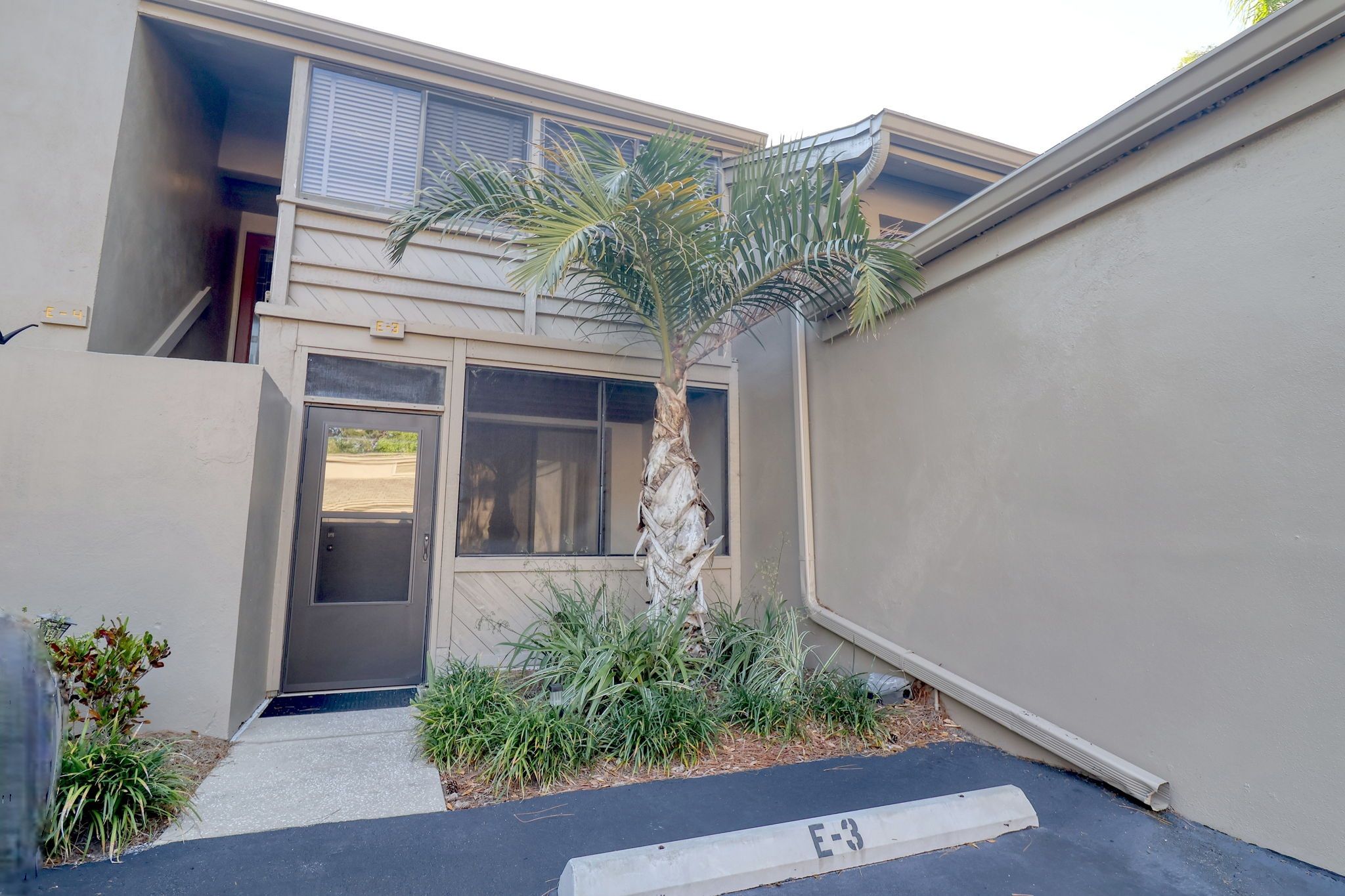 Entrance to Home w/Palm Tree