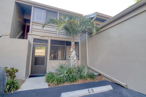 Entrance to Home w/Palm Tree