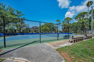 Tennis and Pickleball Court5