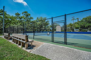 Tennis and Pickleball Court6