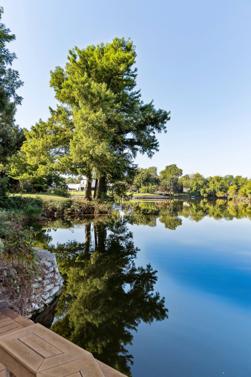 11113 Blue Stem Dr_060.jpg