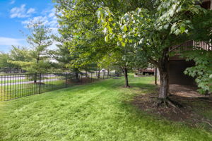  Photo 49