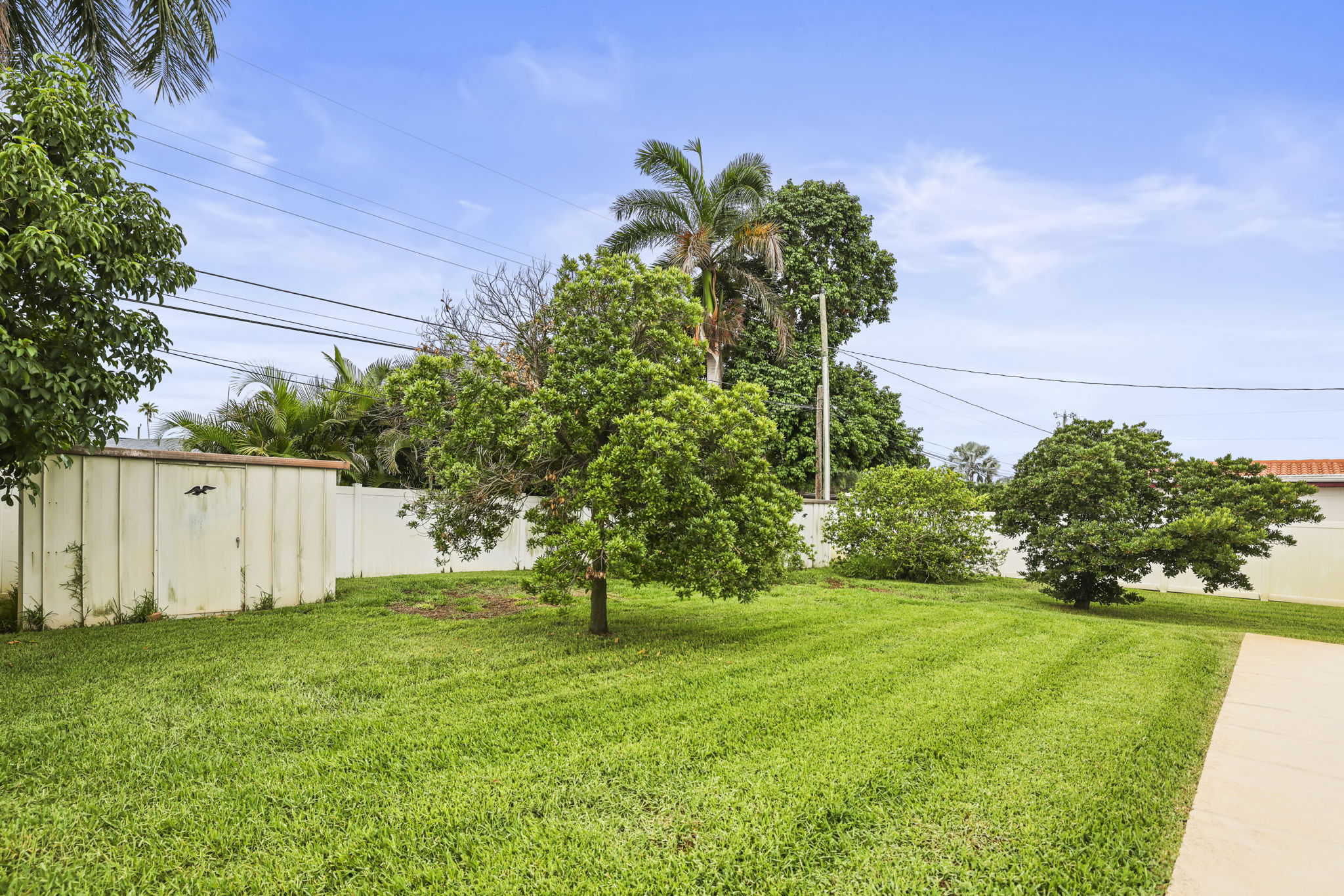 Backyard - 495A2583