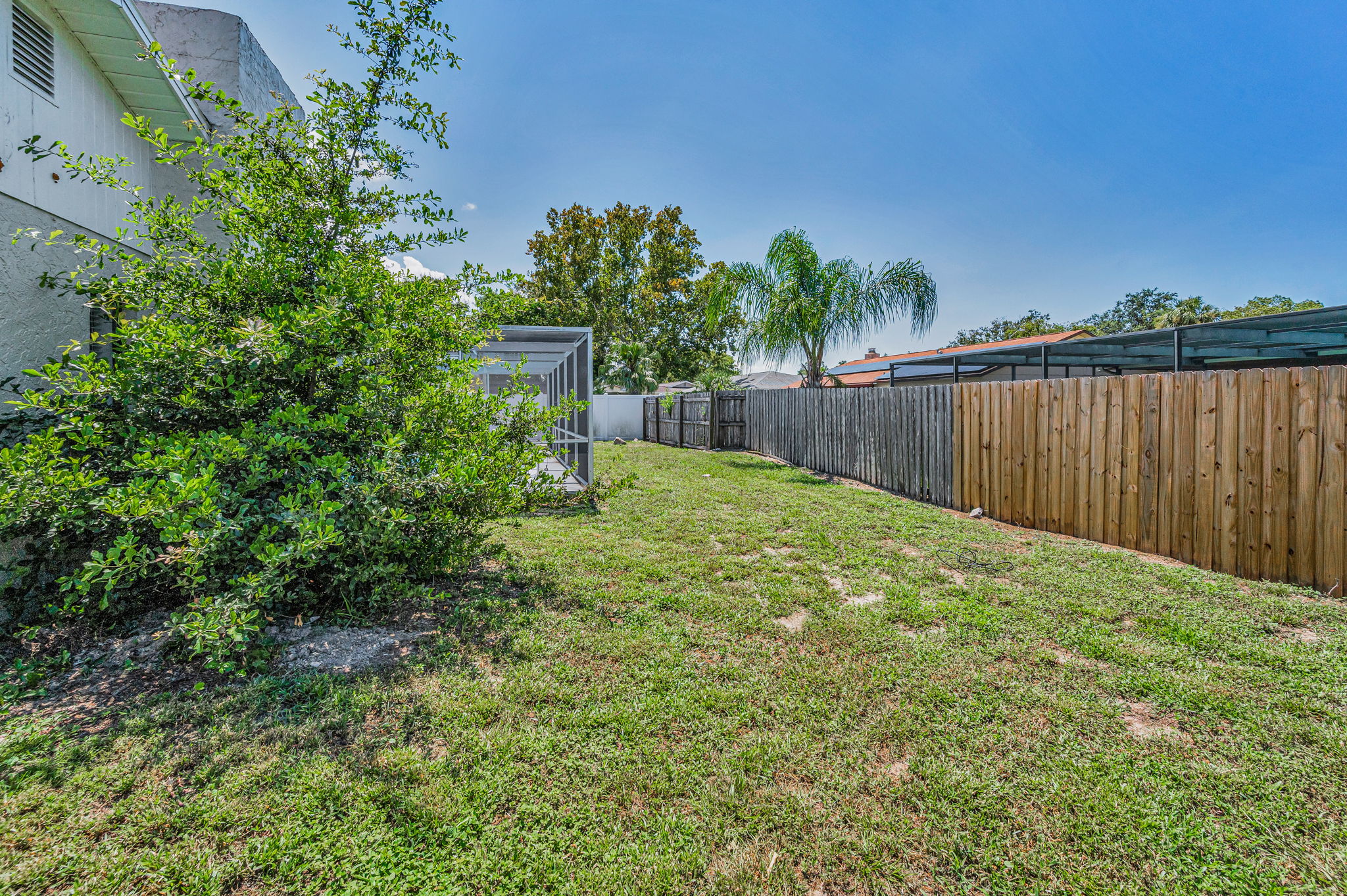 Backyard1