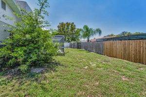 Backyard1
