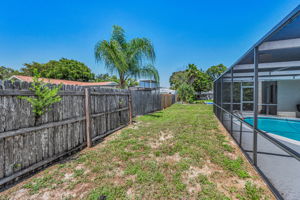 Backyard5