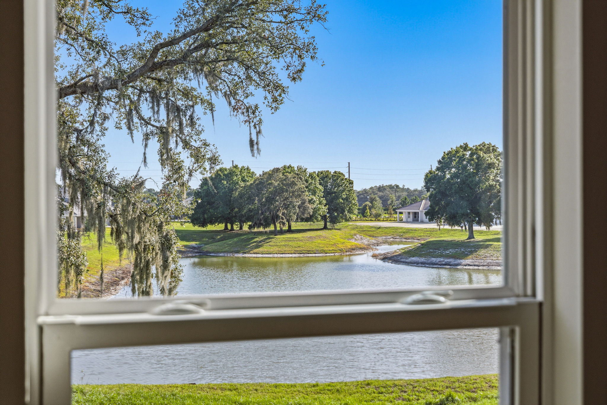 47 - 11126 Manor House Ln, Odessa, FL 33556