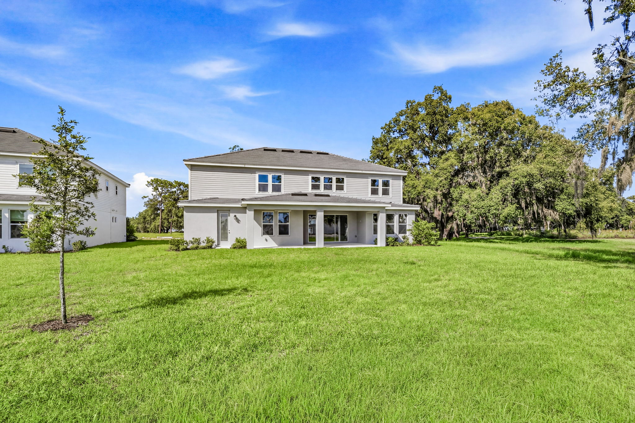 54 - 11126 Manor House Ln, Odessa, FL 33556