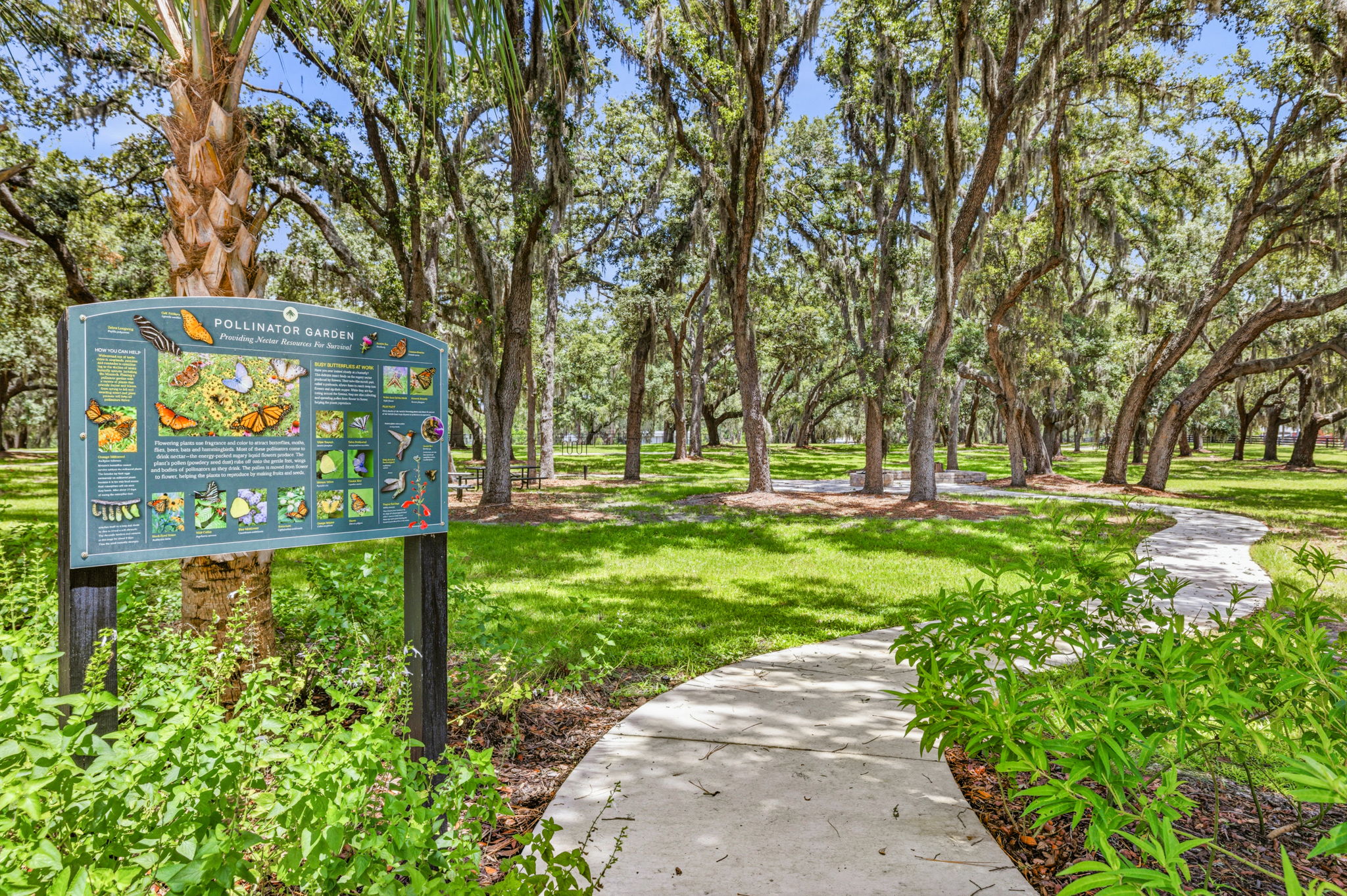 56 - 11126 Manor House Ln, Odessa, FL 33556