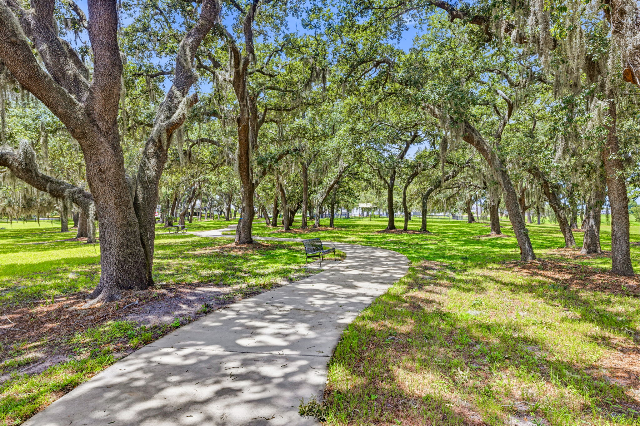 57 - 11126 Manor House Ln, Odessa, FL 33556