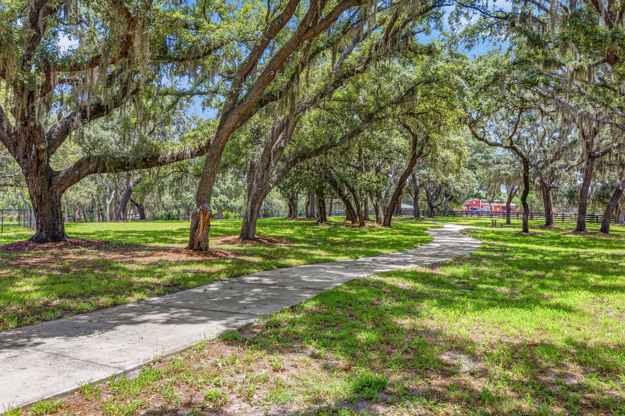 58 - 11126 Manor House Ln, Odessa, FL 33556