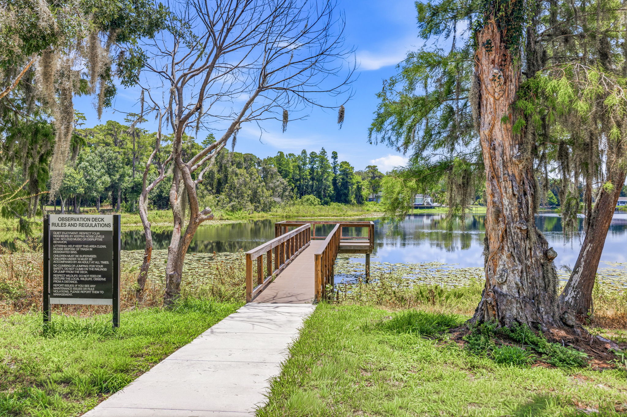 63 - 11126 Manor House Ln, Odessa, FL 33556