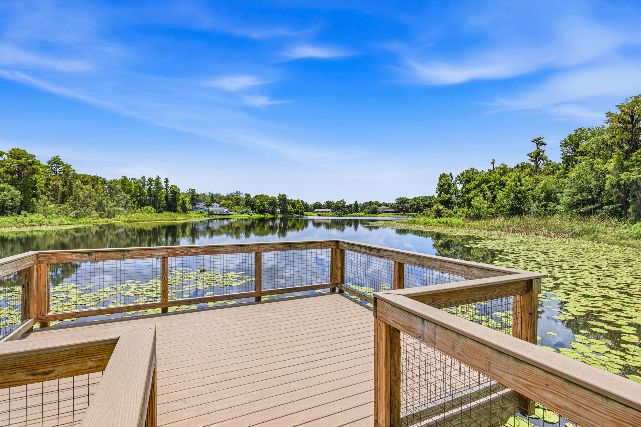 64 - 11126 Manor House Ln, Odessa, FL 33556