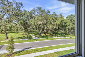 43 - 11126 Manor House Ln, Odessa, FL 33556
