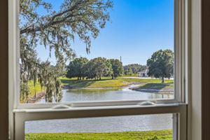 47 - 11126 Manor House Ln, Odessa, FL 33556