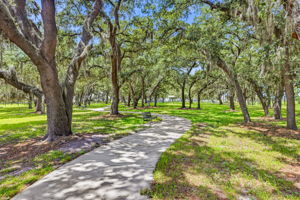 57 - 11126 Manor House Ln, Odessa, FL 33556