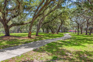 58 - 11126 Manor House Ln, Odessa, FL 33556