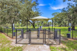 60 - 11126 Manor House Ln, Odessa, FL 33556