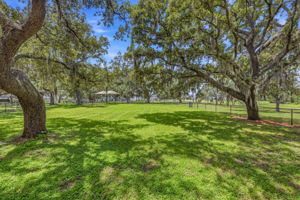 61 - 11126 Manor House Ln, Odessa, FL 33556