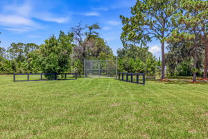 62 - 11126 Manor House Ln, Odessa, FL 33556