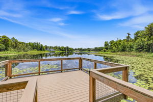 64 - 11126 Manor House Ln, Odessa, FL 33556