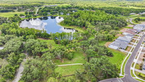 72 - 11126 Manor House Ln, Odessa, FL 33556