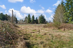 11127 State Ave, Marysville-4