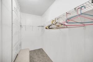 Primary Closet