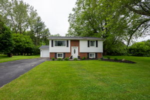  Photo 0